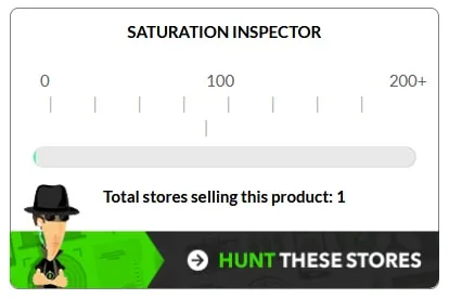 Ecomhunt Review - Saturation Inspect