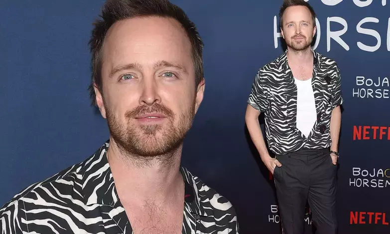 Aaron Paul in the Entertainment Industry